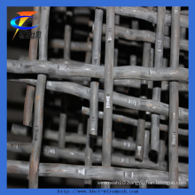 Vibrating Screen Mesh/Crimped Wire Mesh for Mining (factory)